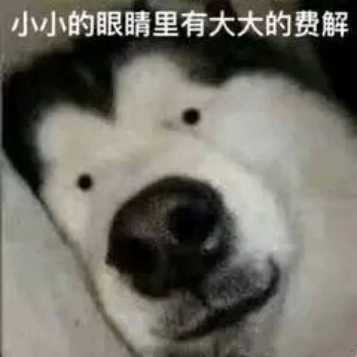  避孕套五花肉活鸡...公司送的中秋礼物能有多奇葩