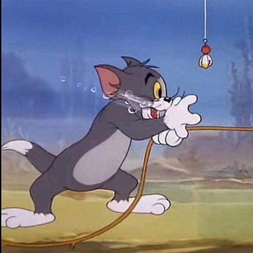  猫和老鼠情头,有趣的灵魂万里挑一