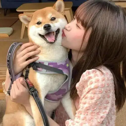  头像见什么世面见我就好了