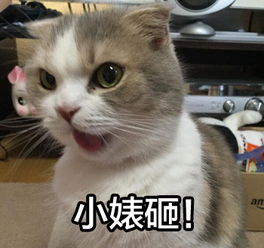  她是人肉美颜相机烂片太多都怪外星人