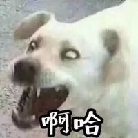  奇葩搞笑人物图片微信头像图片大全