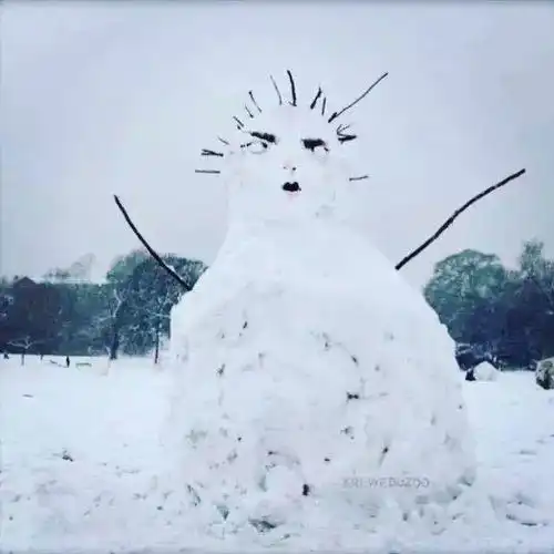  别再微信官方给你圣诞帽啦圣诞过后,应该去看最美雪景...