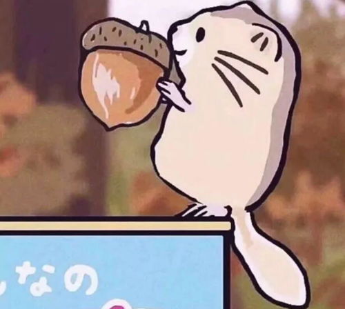  情侣头像可爱情侣头像