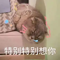  表情sir快来和我一起玩