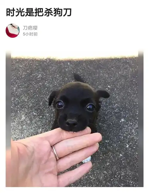  男子心情不好随手砸车以为砸的是众泰结果是保时捷