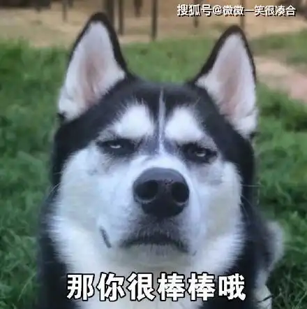  春节的幽默短信送祝福短信笑话