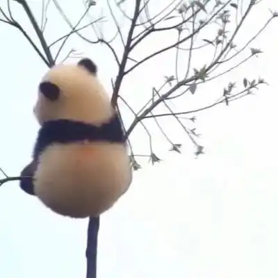  好看但有病的头像,欲罢不能