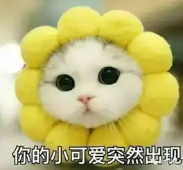  登封人,除了高速免费,近期你最应该知道这条消息