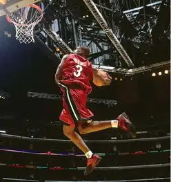  20大最具观赏性球员皇帝罗斯领衔林书豪上榜