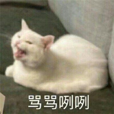  有哪些发到朋友圈让男神注意到你的沙雕搞笑句子