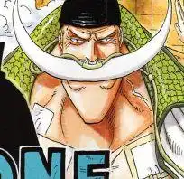  求白胡子和伊万科夫的图片