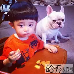  6岁的小男孩剪什么发型好看,发个图最好