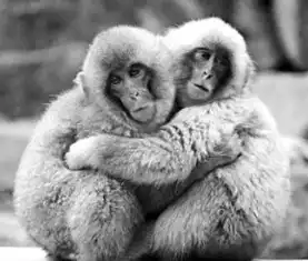  2015年第一波冷空气杀来大东莞后日急降到10