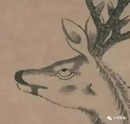  翻白眼的一万种方法