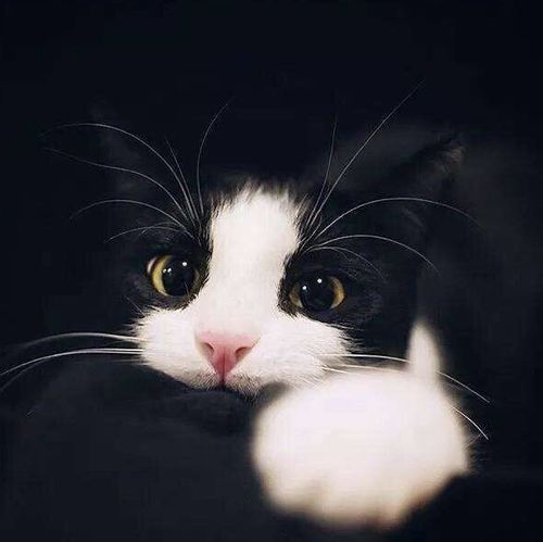  2013想看的电影