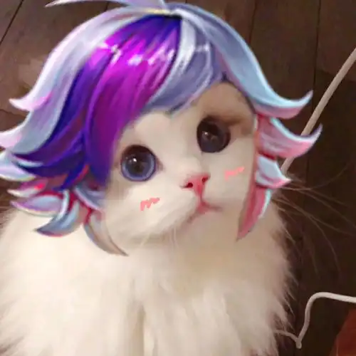 王者荣耀英雄猫猫头像