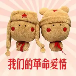  雷小锋情侣送女友情侣娃娃结婚礼物婚堆糖,美好生活研究所