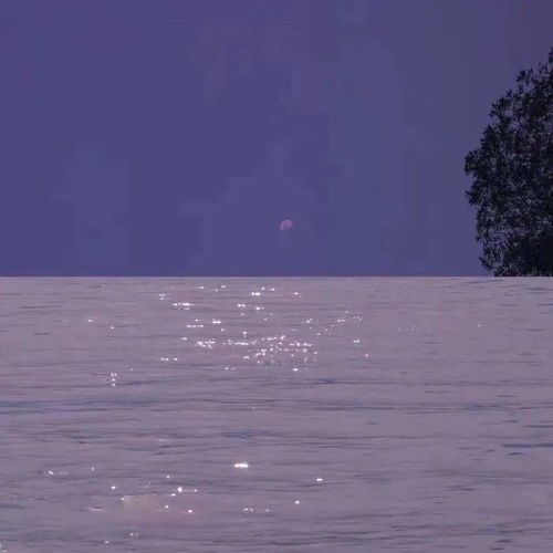  头像背景丨漫漫星河温暖人间