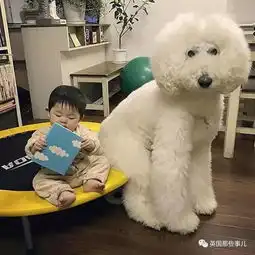  狗狗到底有没有心机,会不会忽悠铲屎官这教授做了个实验,果然都是心机汪啊