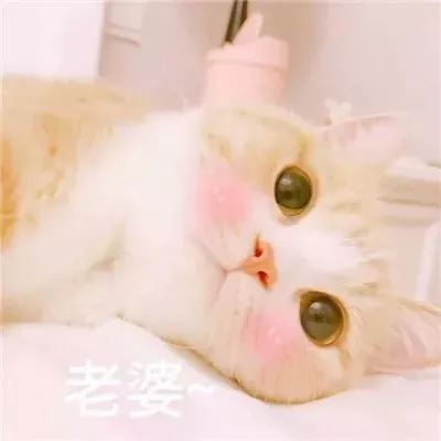  日常送头像,情侣的那种