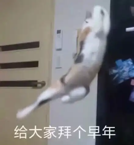  杜蕾斯都出手了今年春晚又被微博段子手玩坏了,导演简直恨透了微博...
