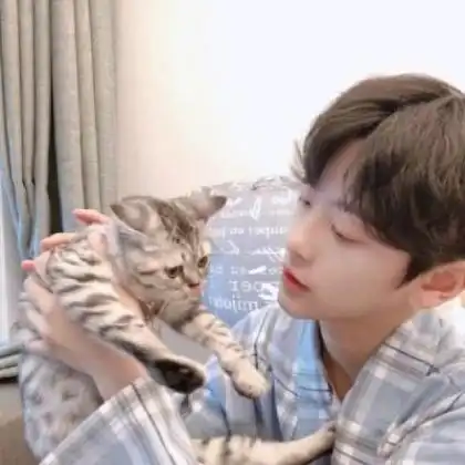 阳光唯美意境情侣头像小哀