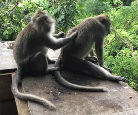  这姑娘确定不是来偷资料的间谍