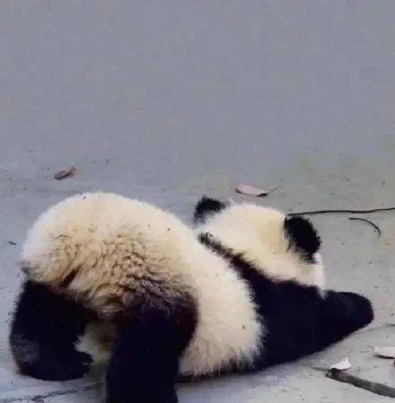  每日头像生活晴朗,万物可爱