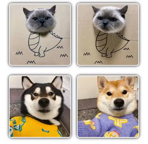  猫咪情侣头像可爱,动物情侣头像,狗狗情侣头像搞怪,狗狗情头,柴犬情头,柴犬可爱头像情侣,猫咪情侣头像可爱,猫猫的情侣头像,猫猫情侣头像无水印,猫咪情侣头像无水印