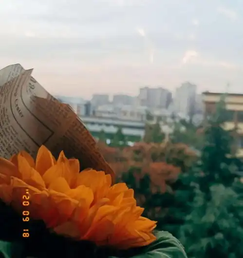  正蒙二院小元之声偶遇李白的背影