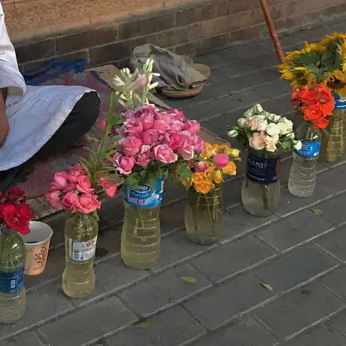  苏旬ins优质神仙玫瑰图把烦心唯美图片我要个性网