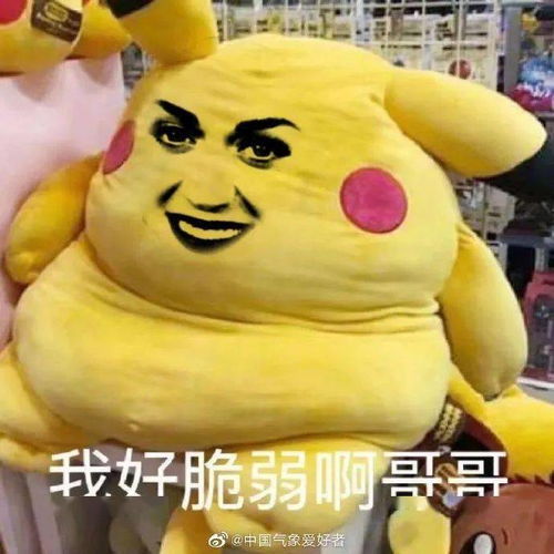  台风夭折厦门启动防暴雨洪水三级响应翔安天气将....