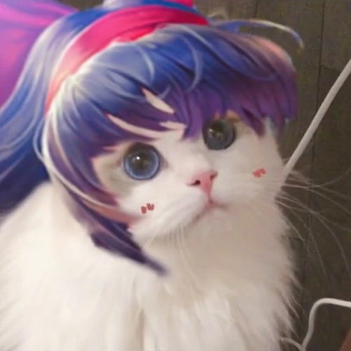  王者荣耀猫猫头像第八期