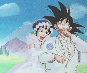  维兹.的主页快手直播
