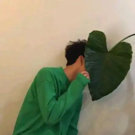  至尊宝紫霞仙子情侣头像至尊宝紫霞仙子情侣头像动漫意中人