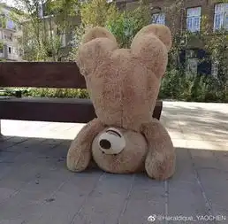  罢工吧,熊弟们法国罢工现场被群熊占领,晚上还浓浓夜店风...
