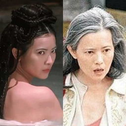  为什么这么多明星没人帮助蓝洁瑛成龙,周星驰,发哥都不敢
