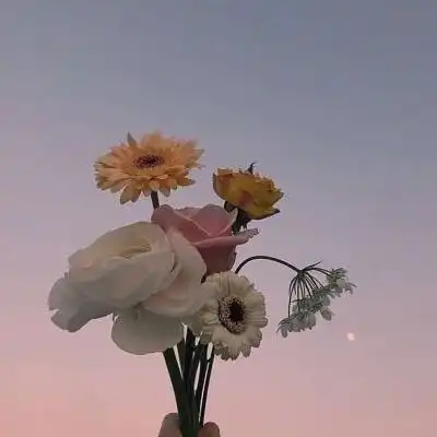  微信头像寓意好的风景图片个性2024,头像图片风景好运