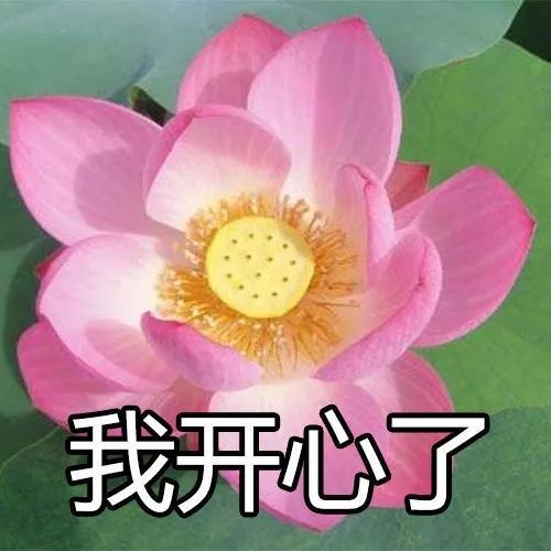  情侣头像女生说滚的时候,男生应该怎么反应