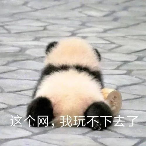  表情包可爱又沙雕的表情包