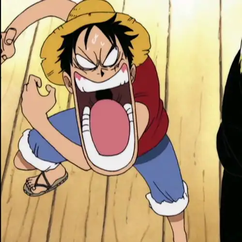  海贼王,三大主力就是有一样的默契