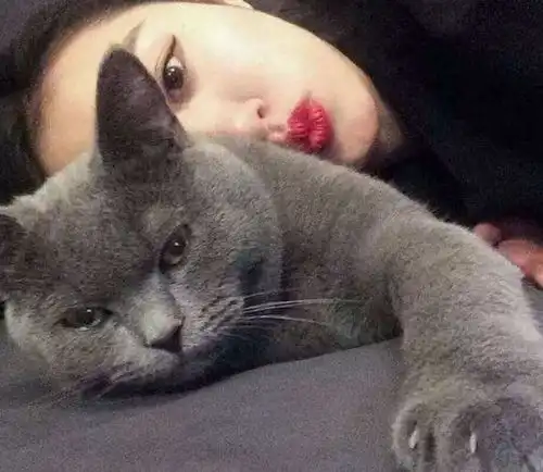 头像猫咪图片情侣头像男
