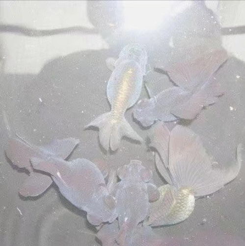  微信状态让你的每一天心情更新