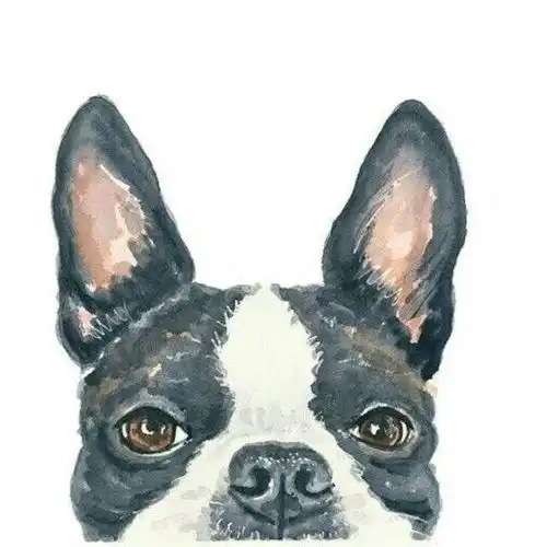  护肤小常识分享卸妆水与爽肤水有什么区别