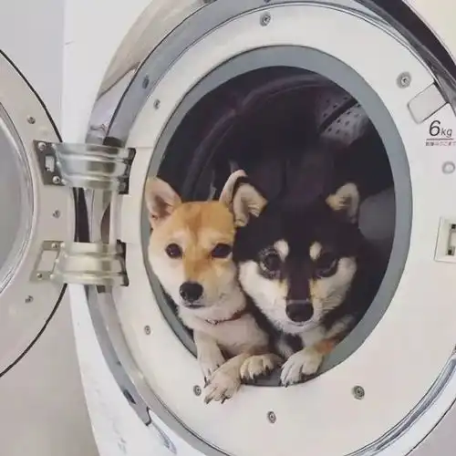 情侣头像精选 情侣头像精选