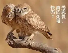  口语角儿秀与不秀恩爱,你suo了算