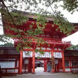  人间仙境,狸生宅地下鸭神社与纠之森的四季