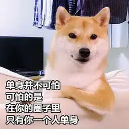  当周三遇上七夕,工作还是约会新区情侣这样做