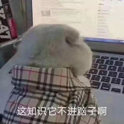  刷爆抖音的100张情侣头像,就算单身也忍不住收藏