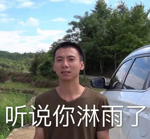  华农兄弟表情包
